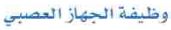 وظيفة الجهاز العصبي